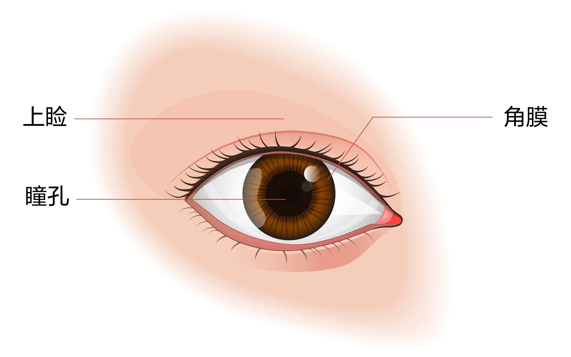 微信圖片_20250730093815 微信圖片_20250730093815