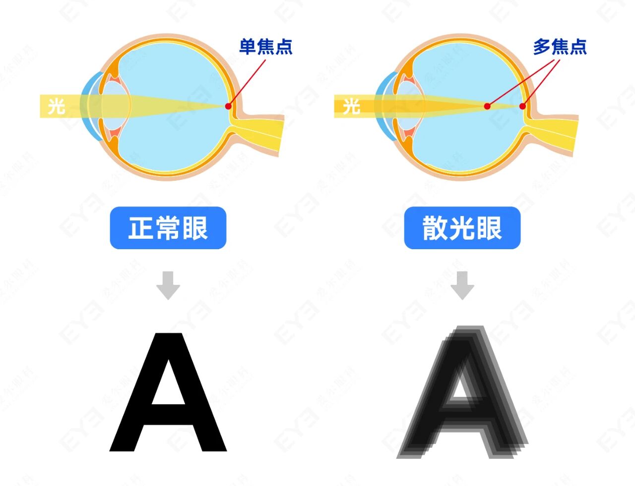 微信圖片_2025-09-12_102925_000 微信圖片_2025-09-12_102925_000