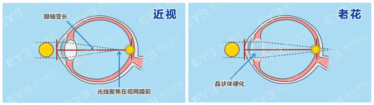 微信圖片_2025-10-31_102753_064 微信圖片_2025-10-31_102753_064